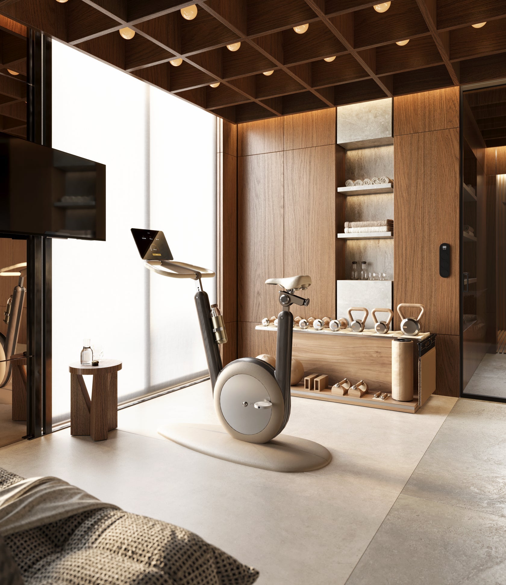 PENT. HANIA™ elegant stationary bike – perfect for luxury fitness spaces.