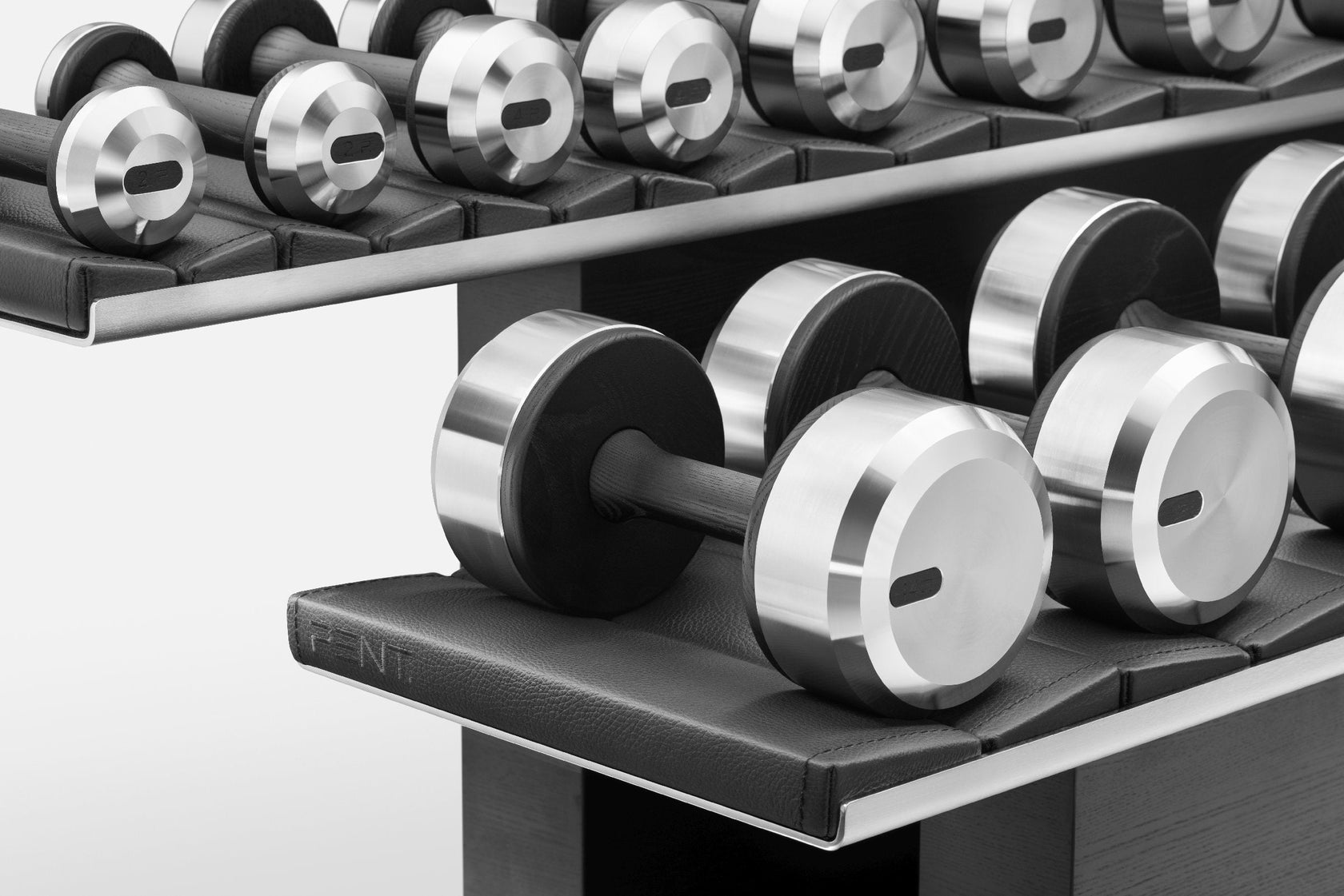 PENT. COLMIA™ LIGHT Dumbbells Set with sleek wooden and stainless steel design.