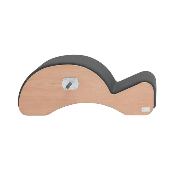 BASI Systems Spine Corrector with ergonomic design, padded cushioning, and F2 System support
